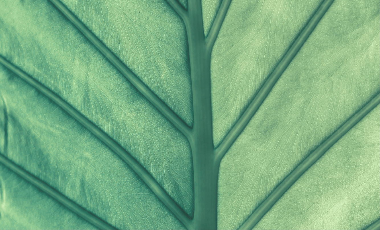 Изображение Доказательства эффективности и безопасности